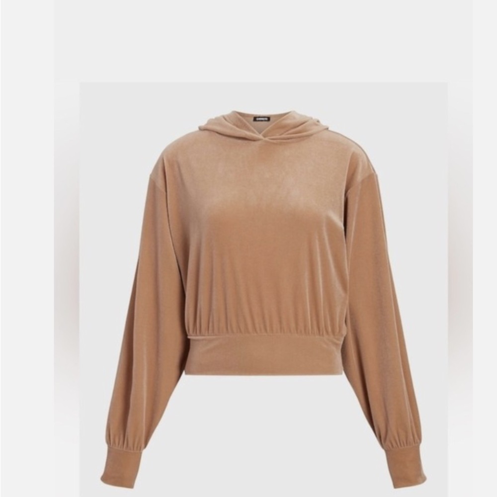 Express Cropped Pullover Velvet Hoodie Size medium like new condition